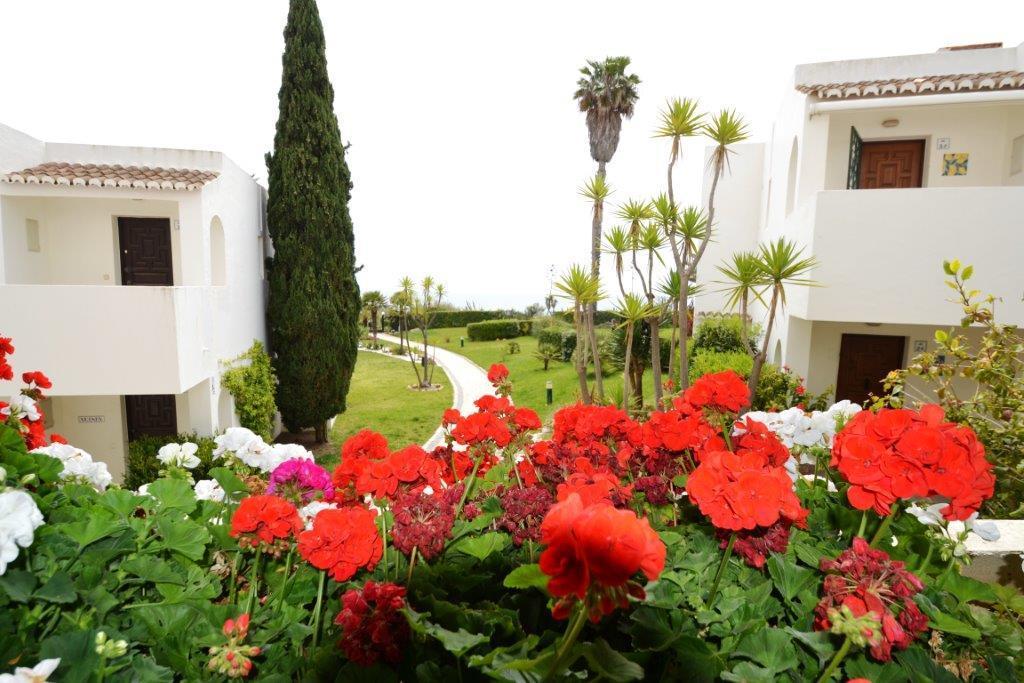 Nautilus Apartment Armação de Pêra Buitenkant foto