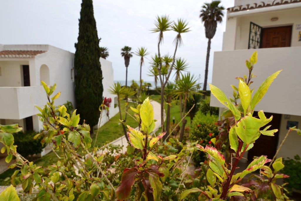 Nautilus Apartment Armação de Pêra Buitenkant foto